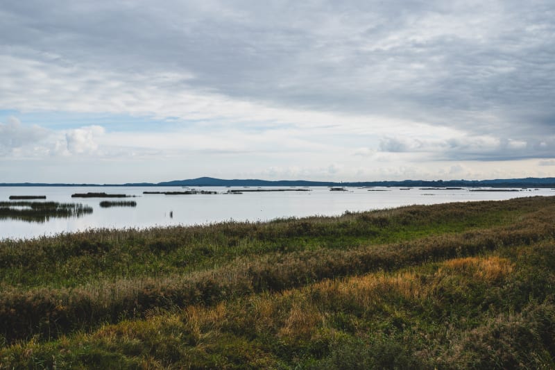 Trudna 16,7-kilometrowa wędrówka przez Słowiński Park Narodowy - Szlak Jeziora Dołgie Małe - Rowy
