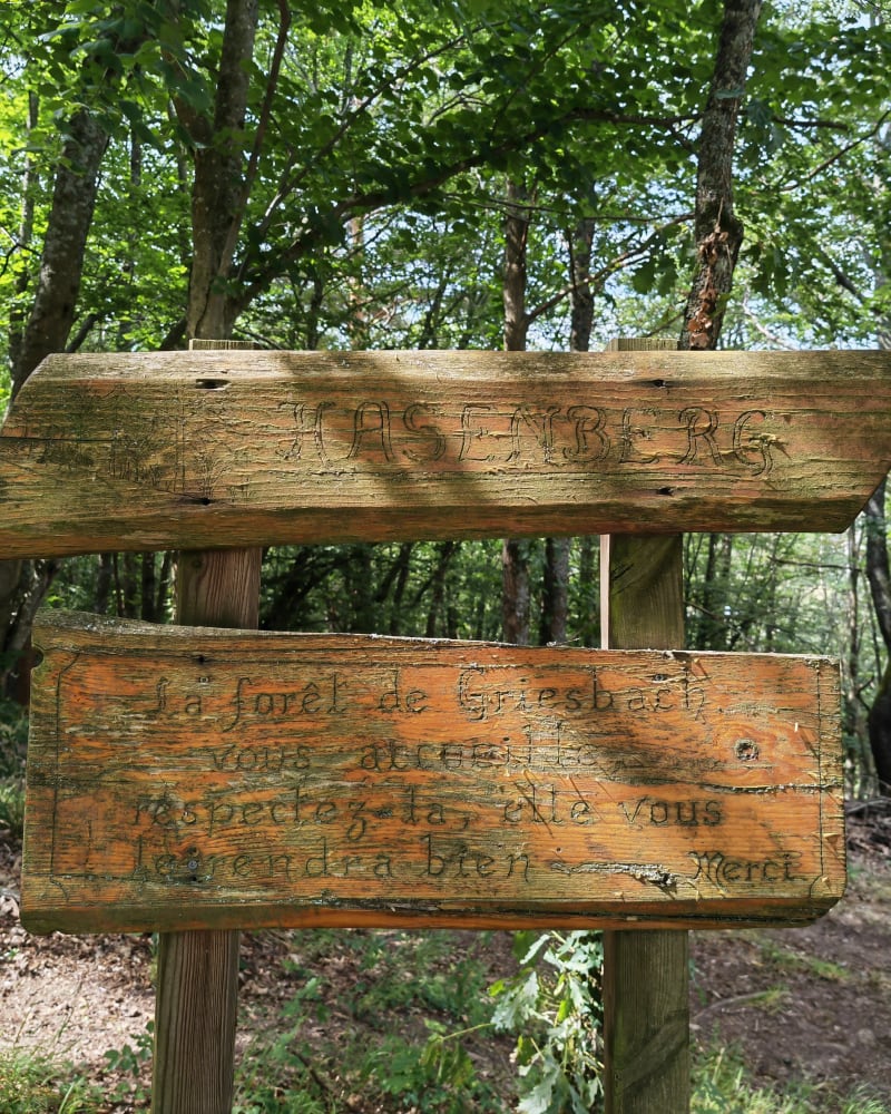 En parallèle de la voie verte à Soultzbach-les-Bains - Wihr-au-Val