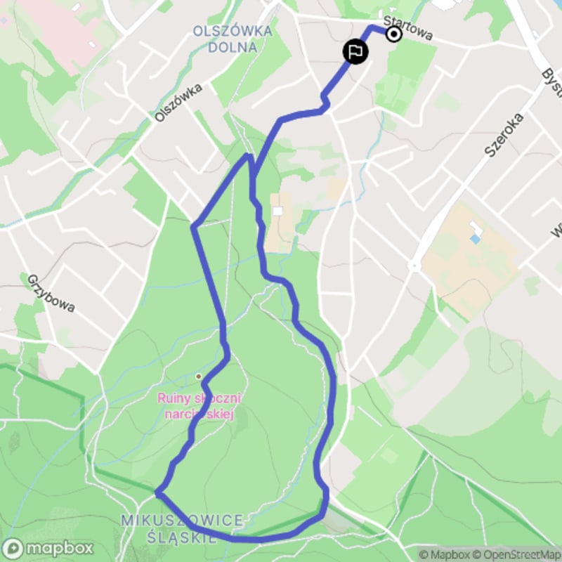 Trudna 4,3-kilometrowa wędrówka w Cygańskim Lesie - Bielsko-Biała