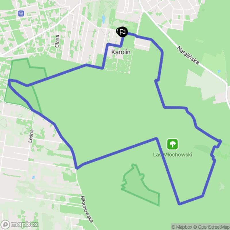 Umiarkowana wędrówka 9,2 km przez Las Młochowski, Otrębusy - Otrębusy