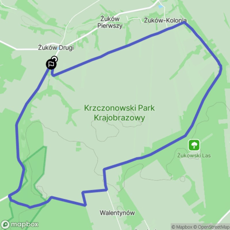 Umiarkowana wędrówka - trasa o długości 10,9 km w rezerwacie Królewski Las - Żuków Drugi