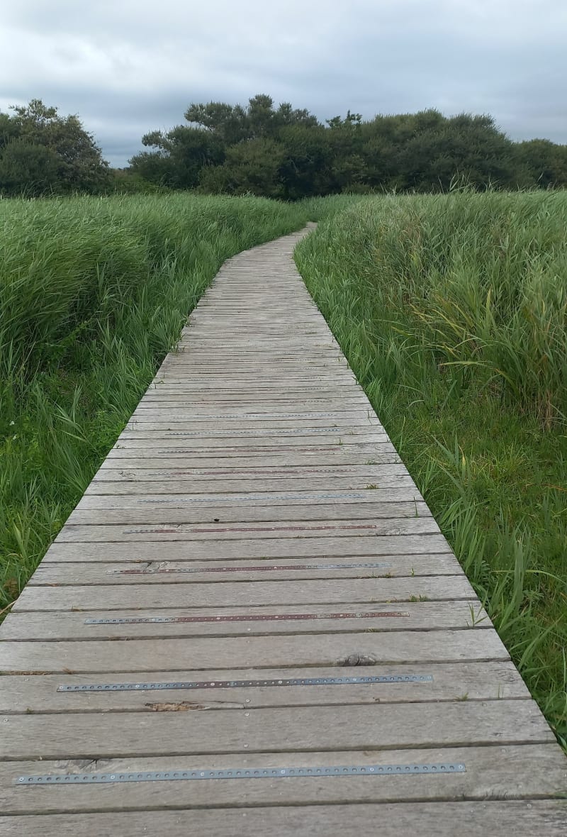 De Landrezac à Penvins par les chemins, retour par la dune - Sarzeau