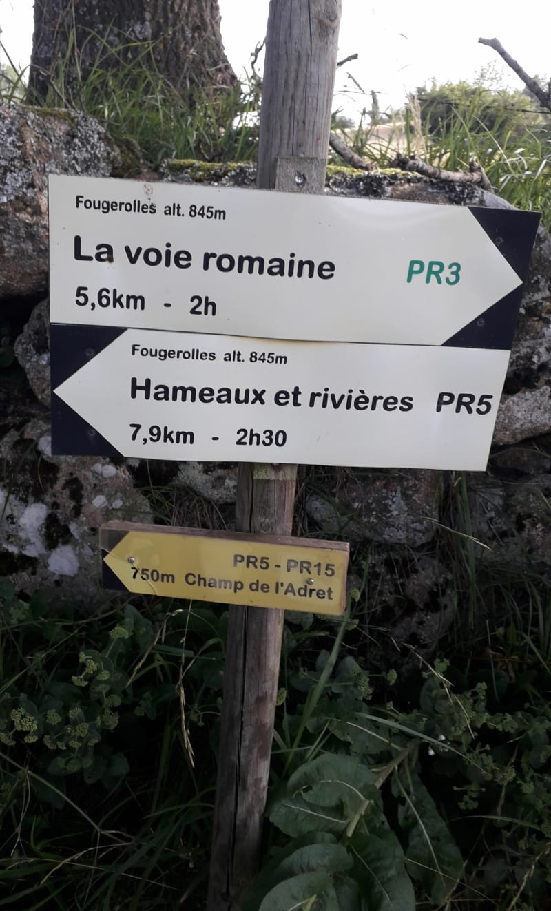 Voie romaine de Fougerolles - Bard