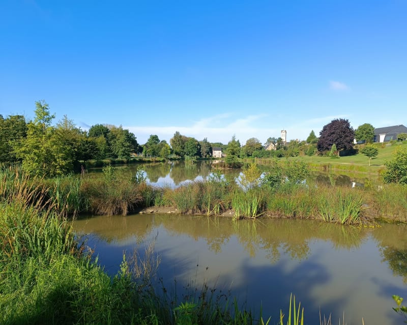 Circuit des haies du bocage depuis Neau - Neau