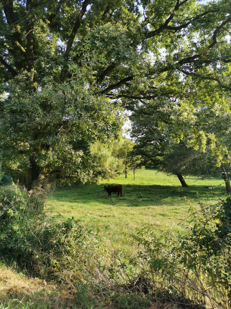 Balade entre deux rives Poiré sur Vie - Le Poiré-sur-Vie