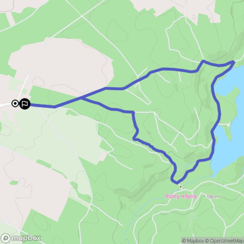 Spacer łatwy o długości 7,0 km w Żubrowie - Żubrów
