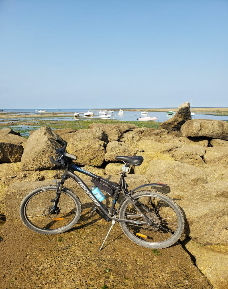 Bord de plage à Domino - Saint-Georges-d'Oléron