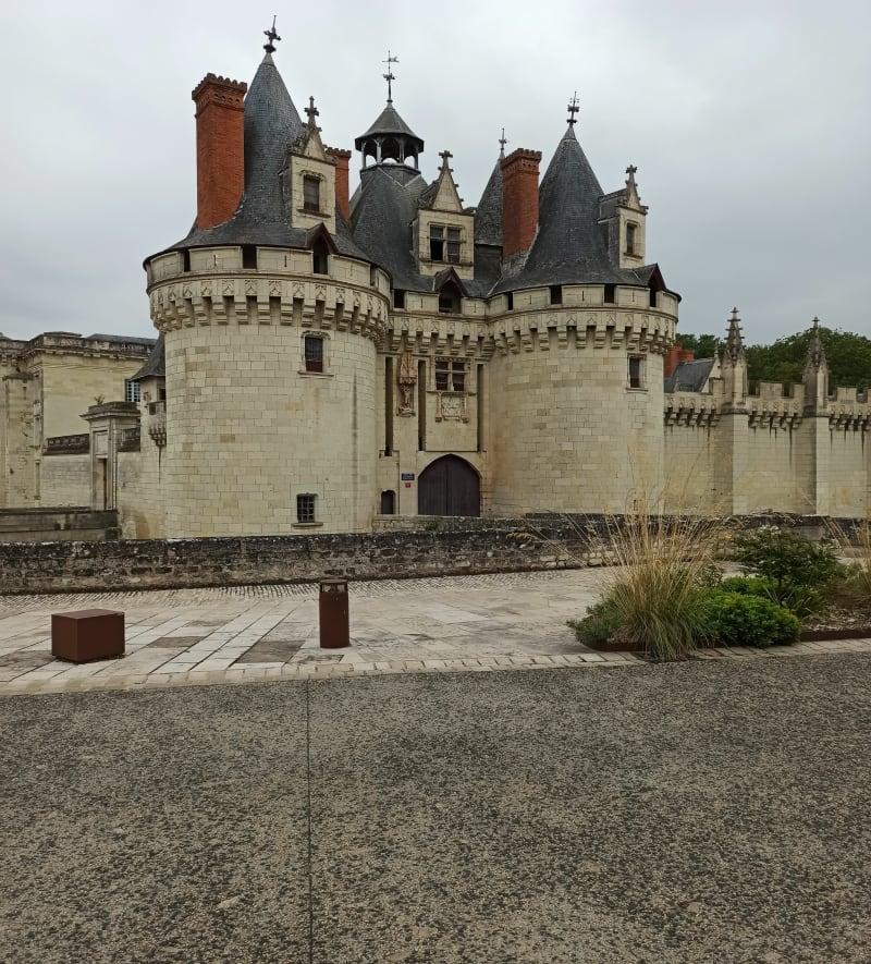 Château et vignes à Dissay . - Dissay