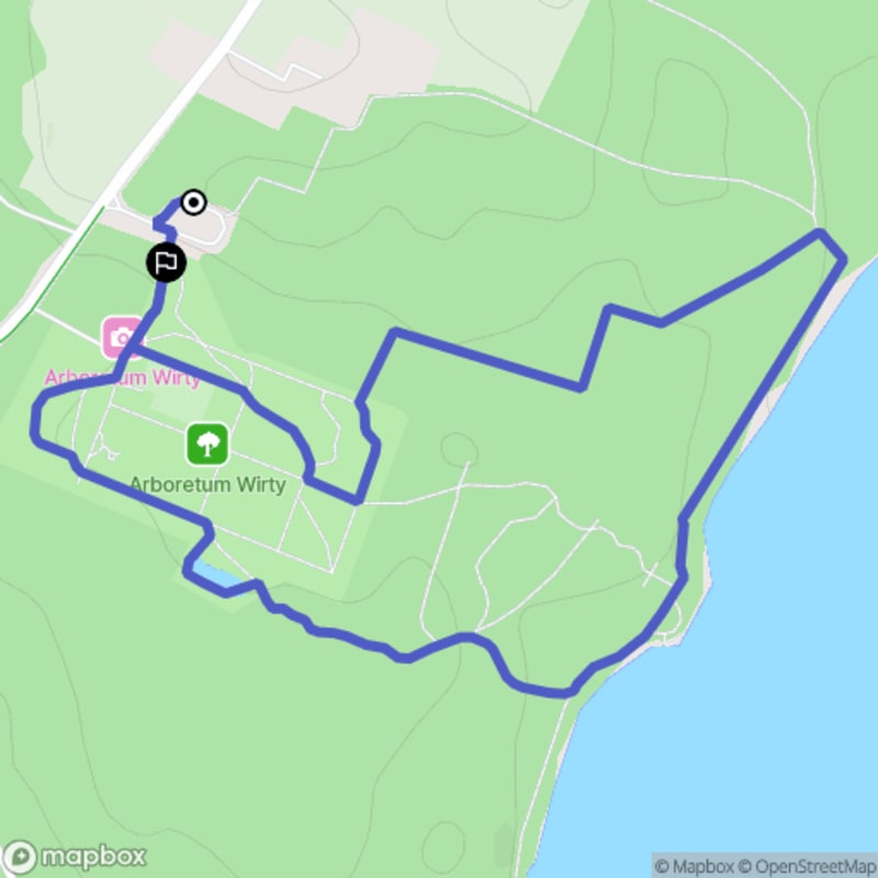 Łatwy szlak Wirty Forest o długości 2,8 km - Wirty