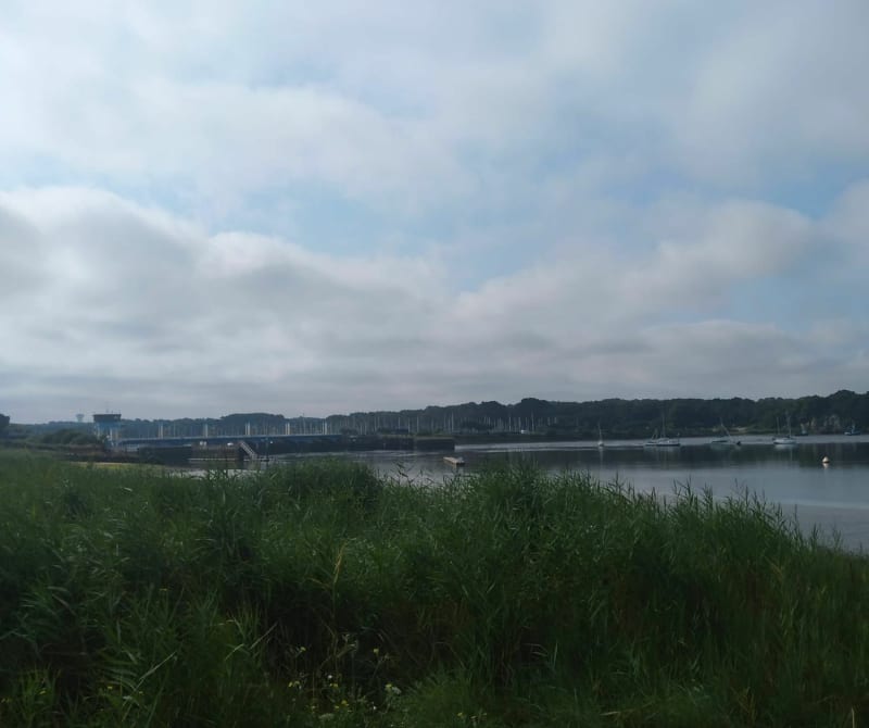 Balade champêtre d'Arzal au barrage - Arzal