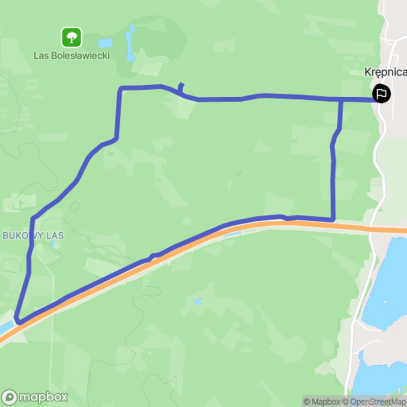 Umiarkowana pętla leśna Krępnica 9,2 km - Krępnica