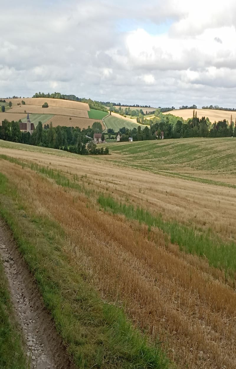 Balade entre  Sainte-Colombe-sur-Loing et Les Gressiens - Treigny-Perreuse-Sainte-Colombe