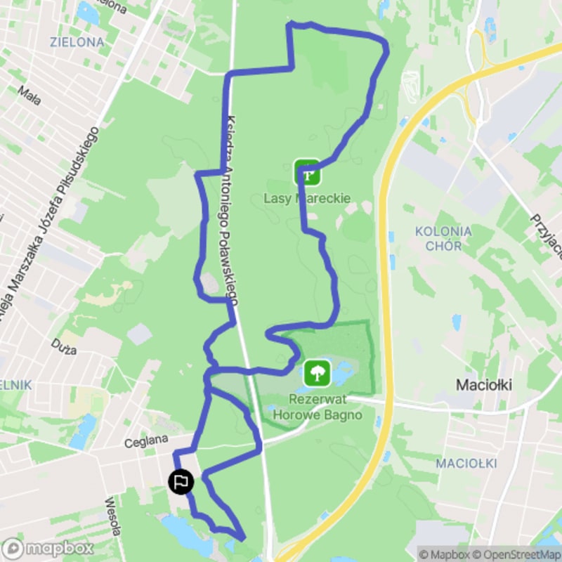 Wędrówka przez Lasy Mareckie - Umiarkowane 11,2 km, 3:15 - Marki