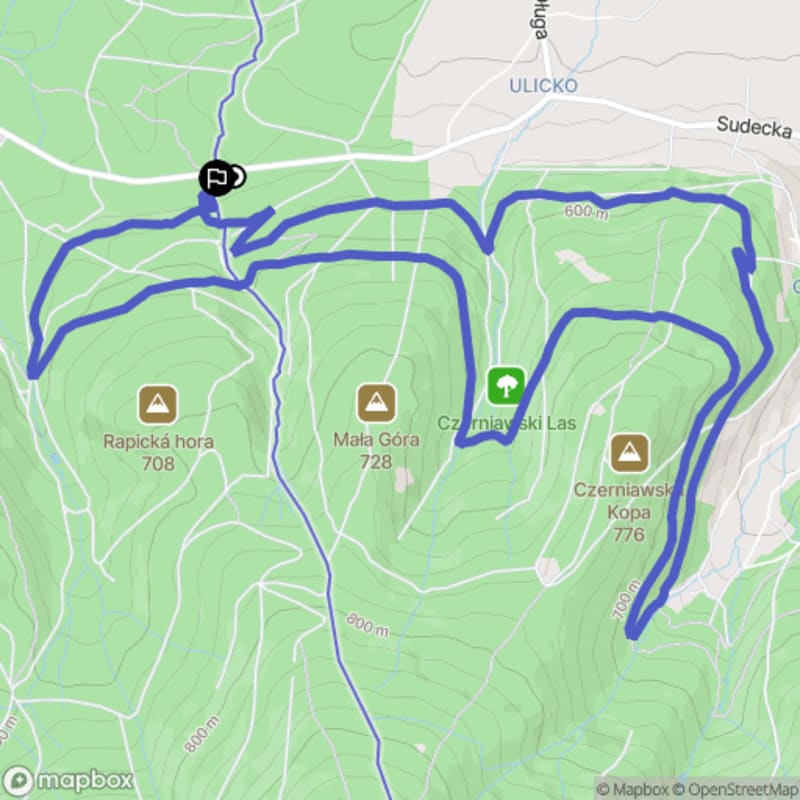 Wymagająca trasa MTB o długości 11,7 km w Lesie Czerniawskim - Świeradów-Zdrój