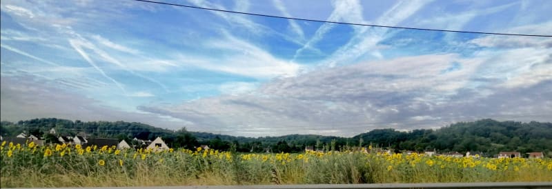 Campagne aux abords de Soissons - Serches