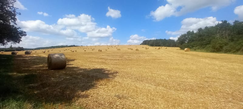 Les Bordes et ses environs - Montbard