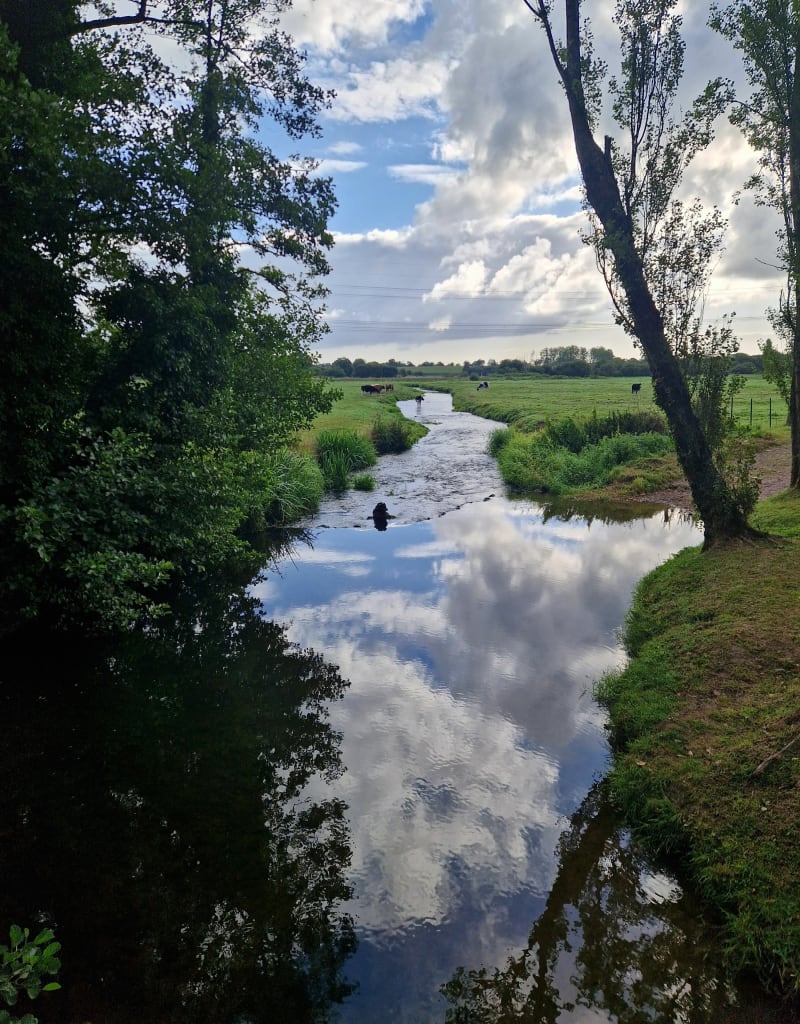 Balade vers Gombert - Carentan-les-Marais