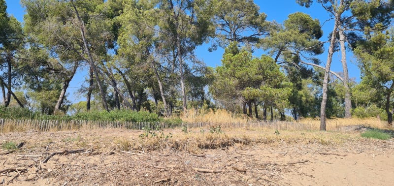 Hyères côté nature, par les Vieux Salins - Hyères