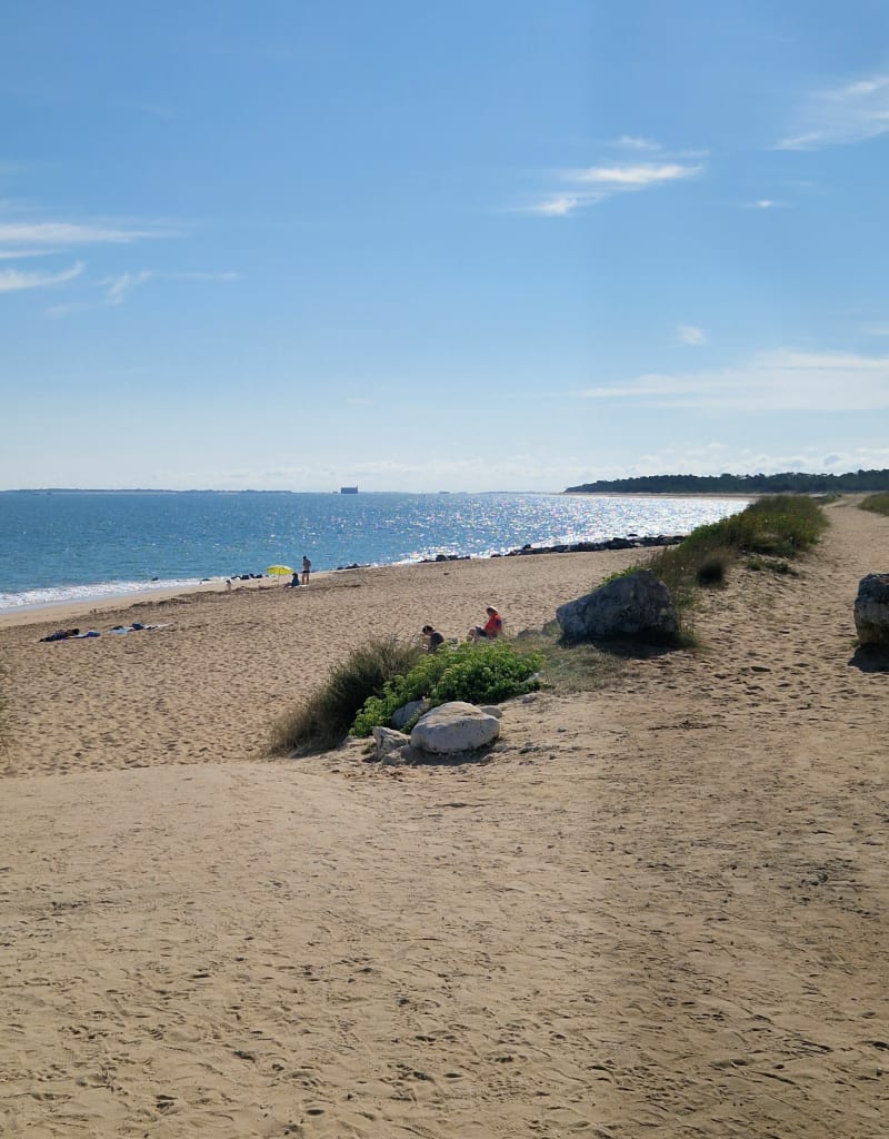 Entre mer et forêt des Saumonards - Saint-Georges-d'Oléron