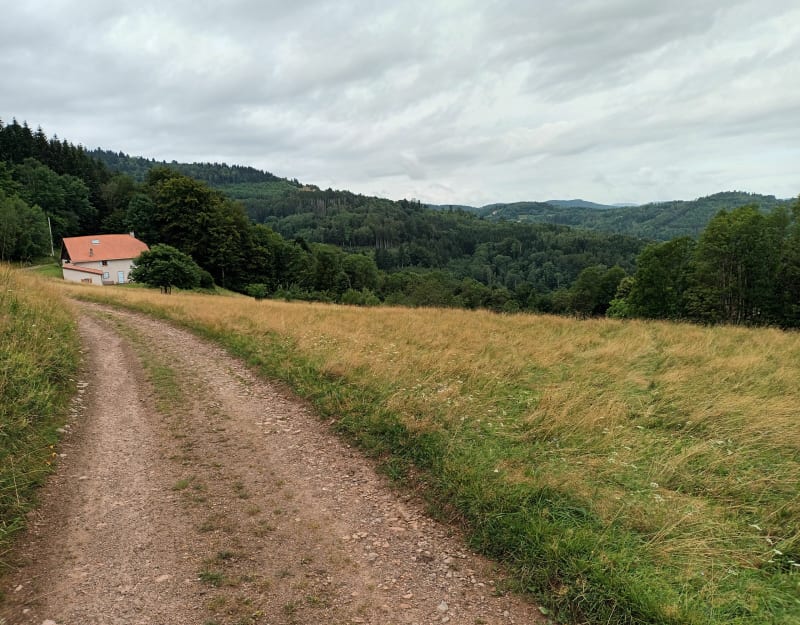 Parcours VTT, autour de la vallée de la Croix aux Mines - Ban-de-Laveline