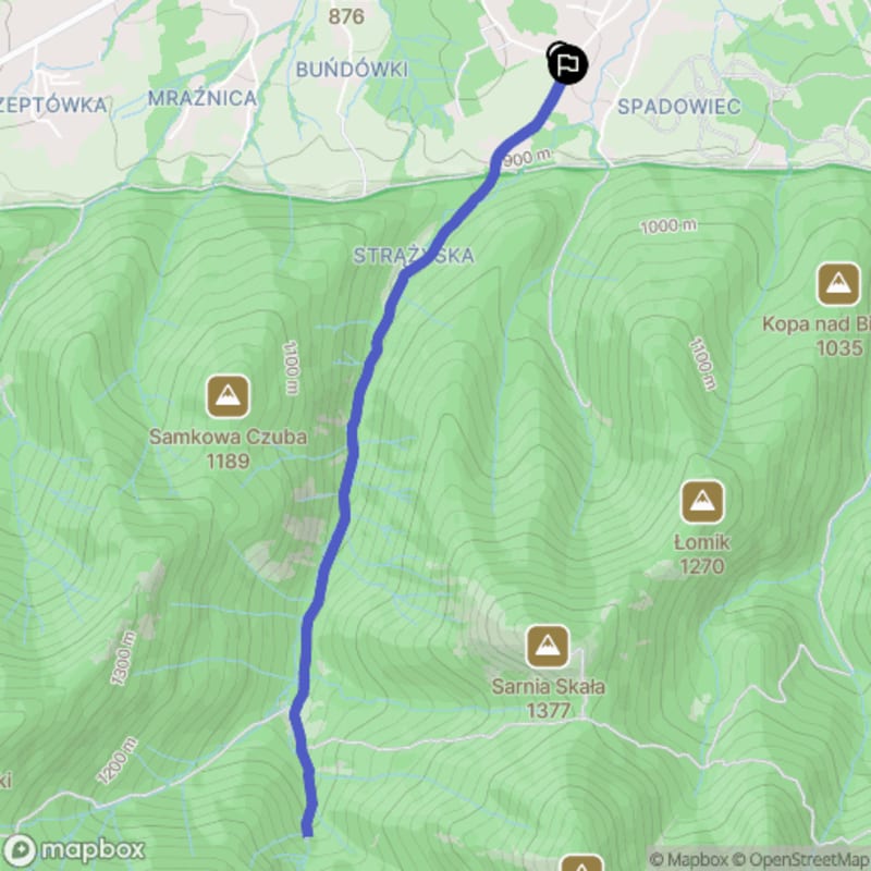 Umiarkowana wędrówka do wodospadu Siklawica, Zakopane - Zakopane