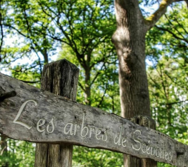 Reprise d'une activité sportive au Bois Meunier - Guesnes