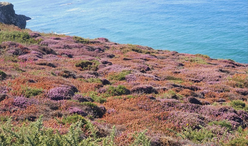 Boucle à partir de la plage de Goulien - Crozon