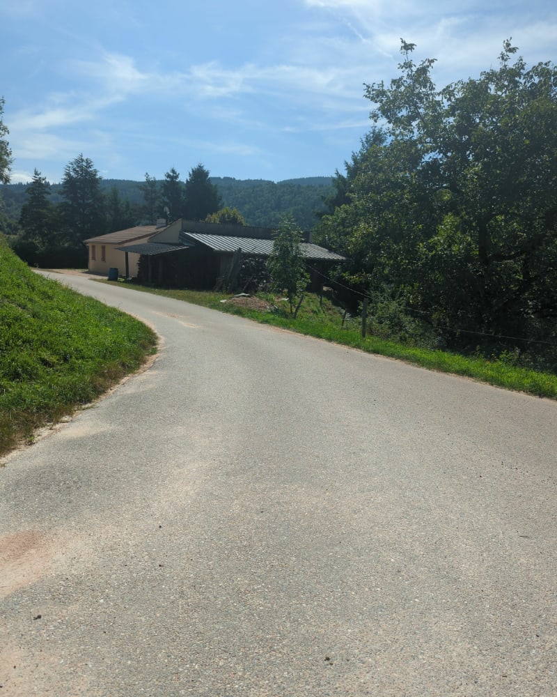 La balade en forêt depuis Lapras - Saint-Basile