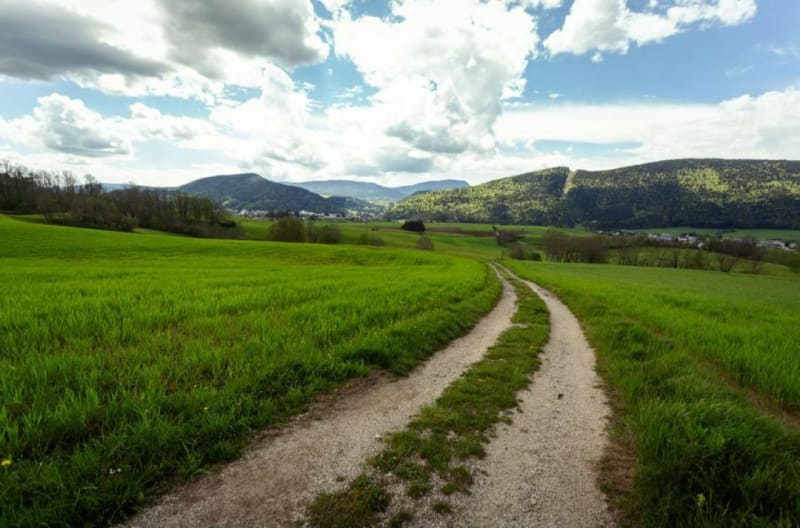 L'Arboretum de villard-de-Lans - Villard-de-Lans