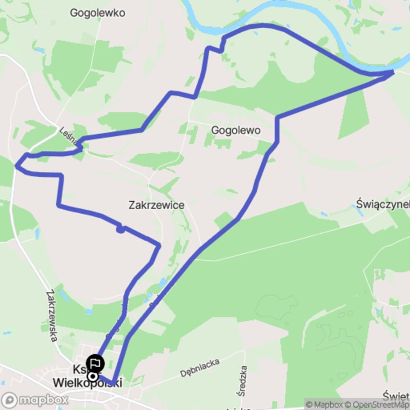 15,5 km trudna trasa wspinaczka po Książ Wielkopolski - Książ Wielkopolski