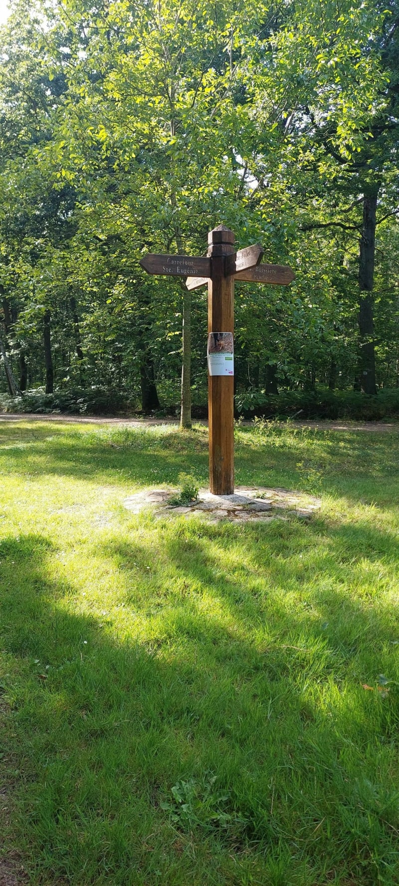Petite boucle dans les bois de Sainte-Apolline - Neauphle-le-Château