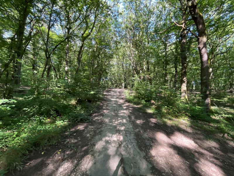 Balade dans les bois Hettange-Grande en famille. - Hettange-Grande
