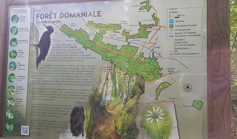Promenade en sous-bois du côté de Campandré Valcongrain - Les Monts d'Aunay