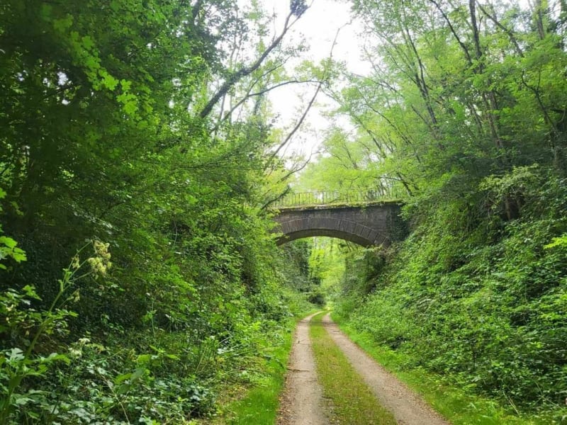 Balade autour de Culles-les-Roches par forêt et plateau - Culles-les-Roches