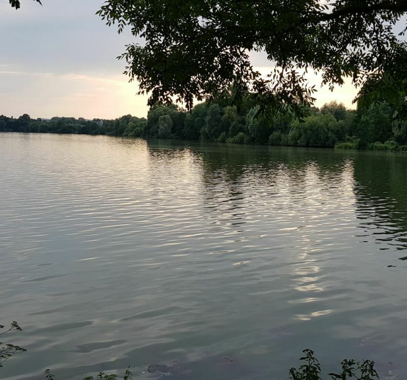 Tour de l'étang du Vignoble en partant de Decathlon - Aulnoy-lez-Valenciennes