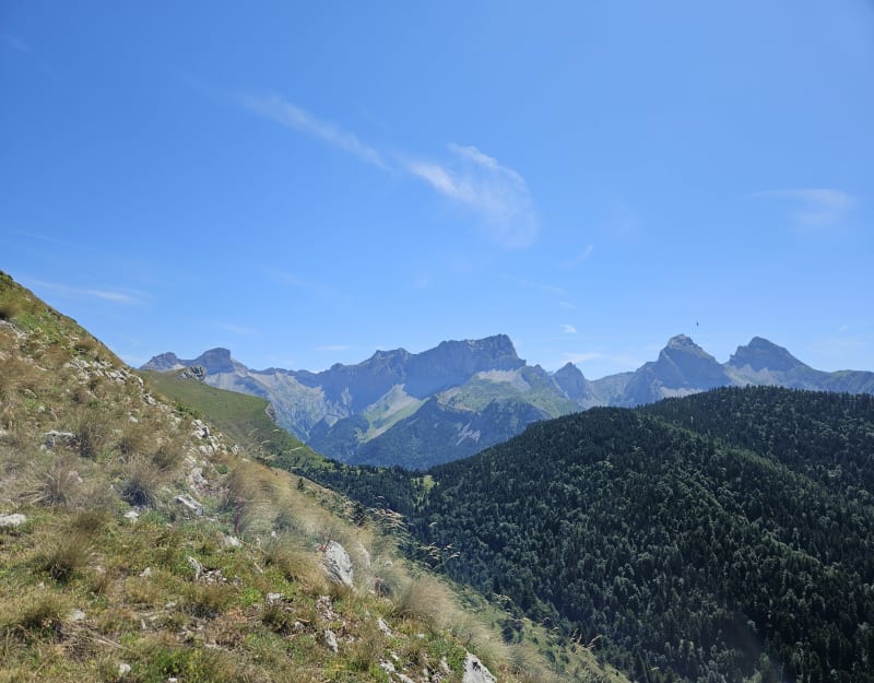 Pointe Feuillette et Col de Jajène - Lus-la-Croix-Haute