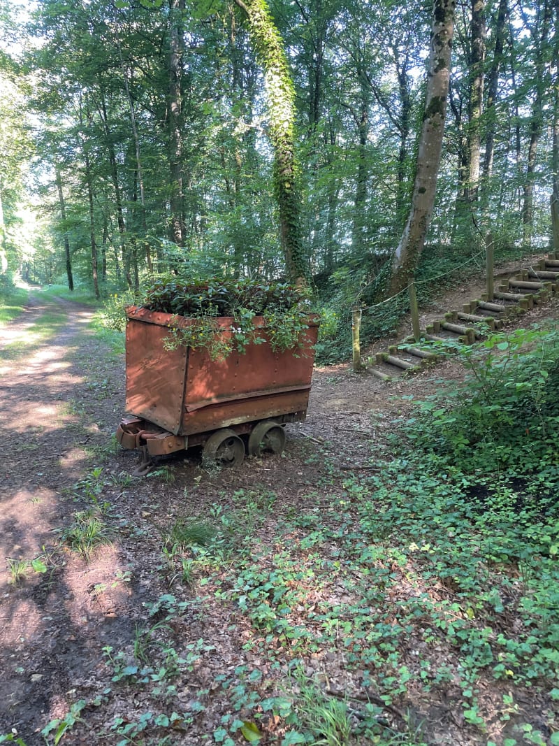 Forêt des Monts et marais Bajociens de Baranzy à Athus - Mont-Saint-Martin