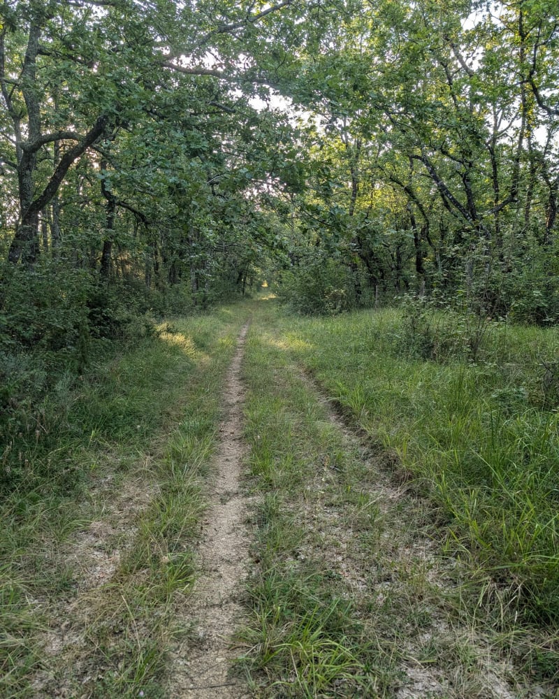 Collines de Faget Abbatial - Faget-Abbatial