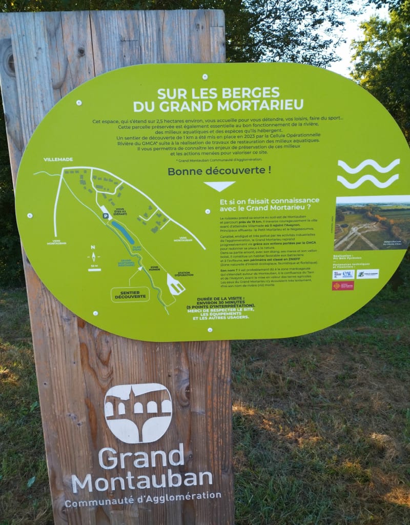 Autour de Villemade - Villemade