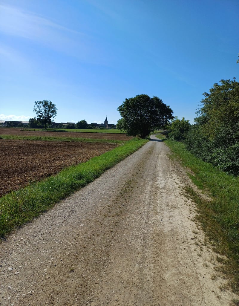 Campagne autour de Jonchery - Jonchery