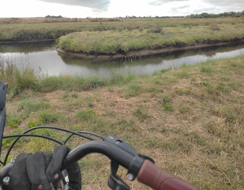 Du marais de Longeville aux viviers de la Guittière - Longeville-sur-Mer