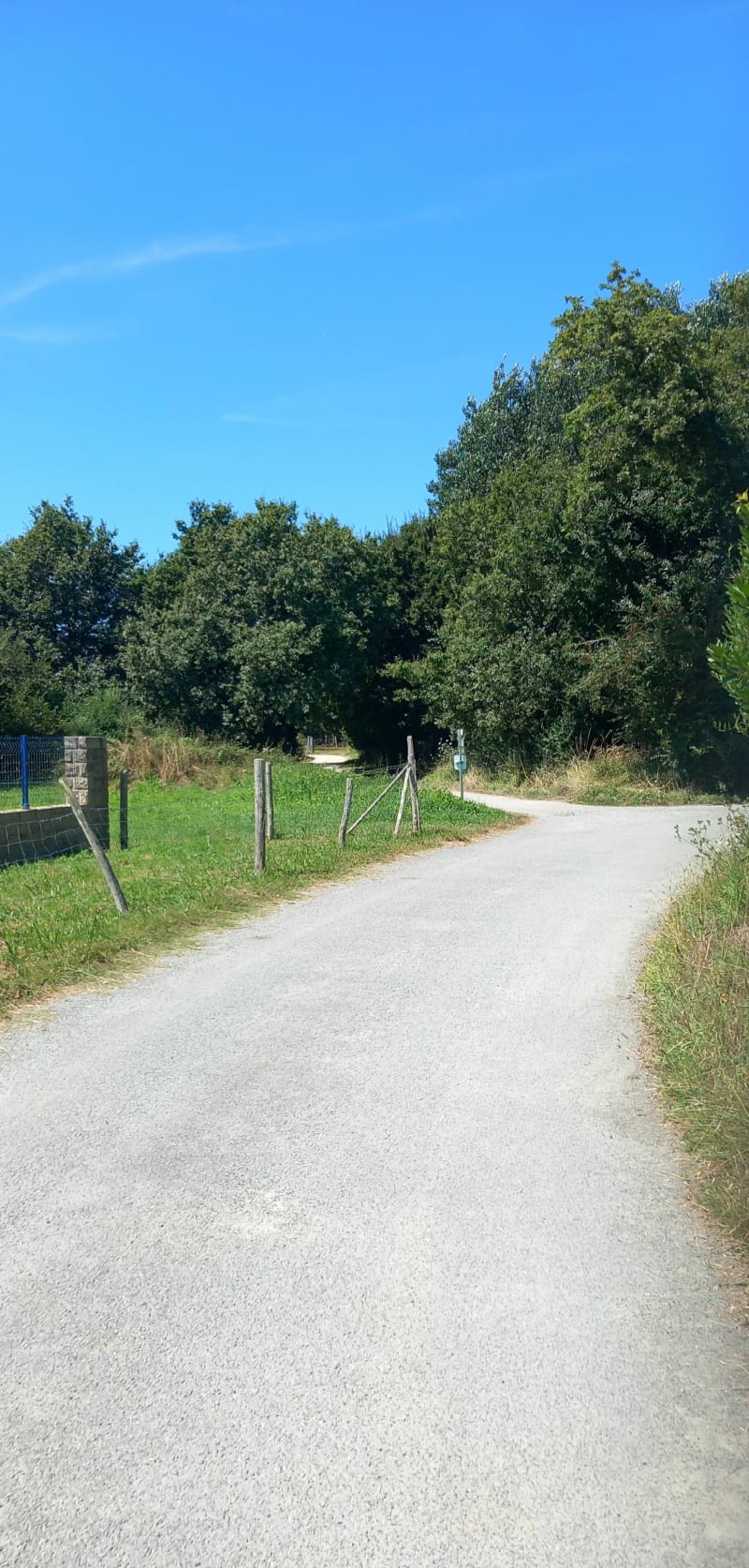Entre Penvins et Saint-Armel à VTT - Sarzeau