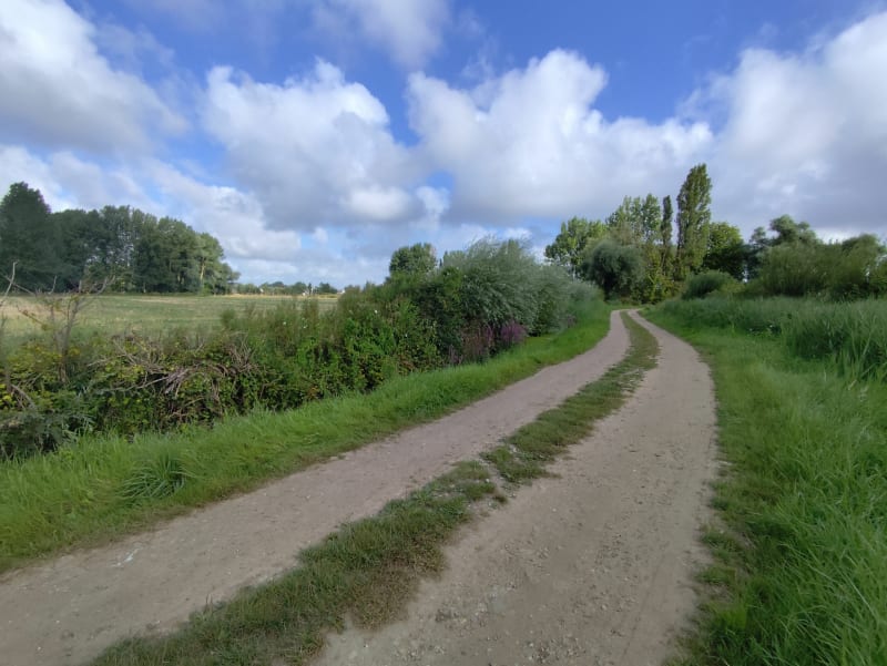 Étangs et marais du Fliers et de l'Authie - Berck