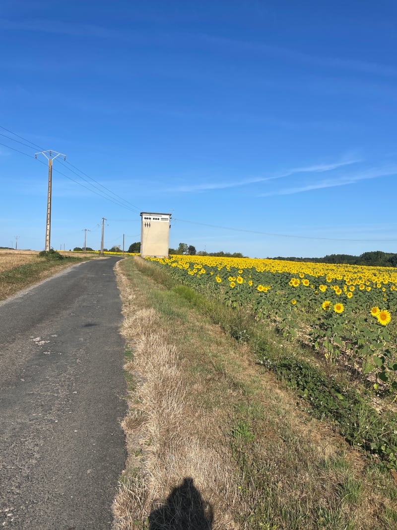 Balade entre champs et bois vers Grandjean - Voissay