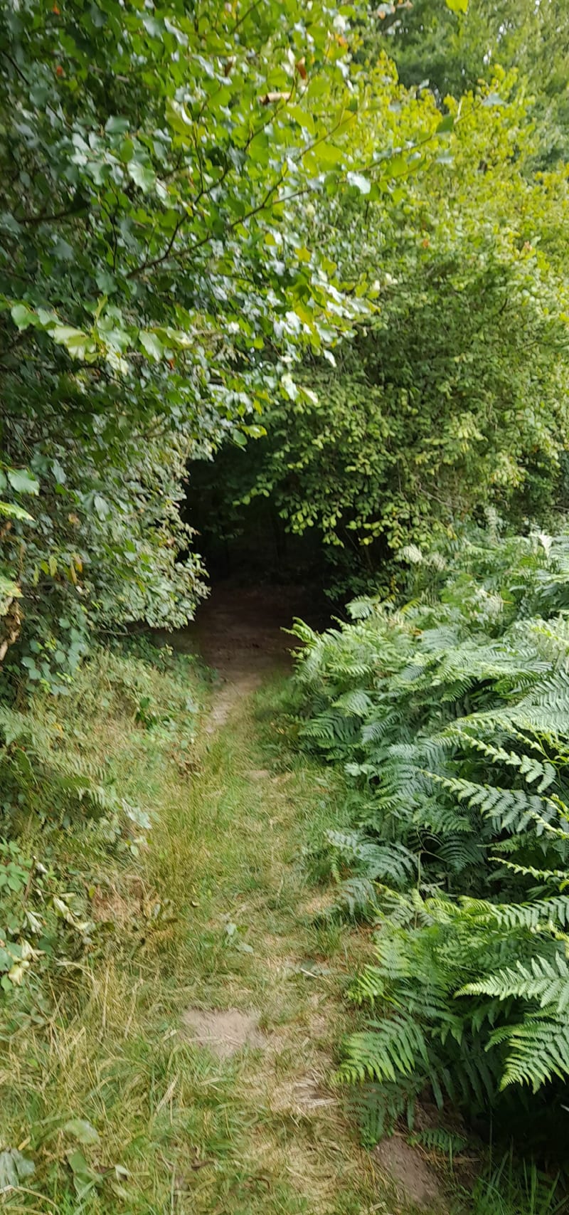 Balade du Prieuré - Uchon