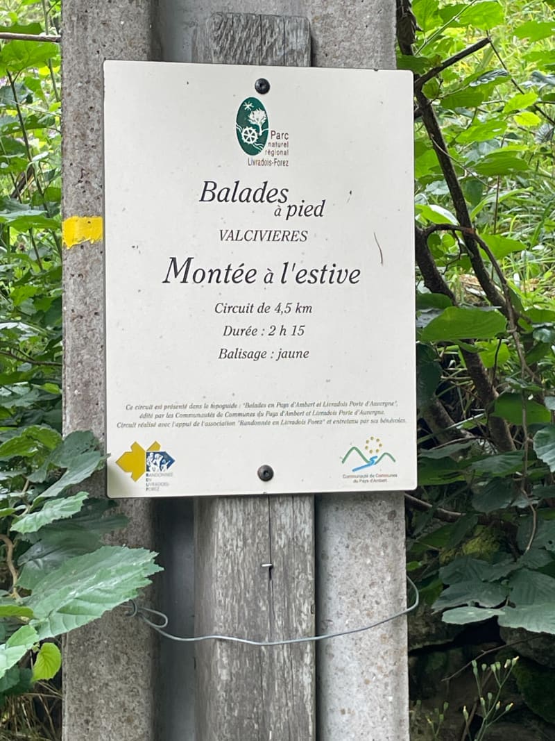 Montée à l’estive, - Valcivières
