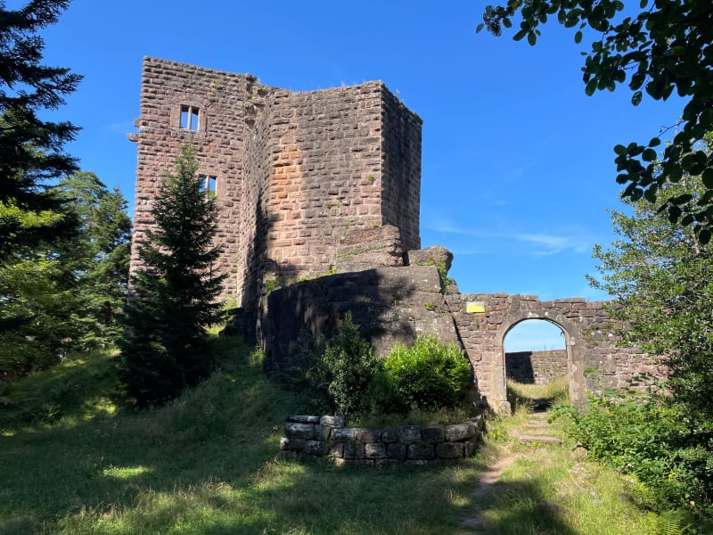 Château du Birkenfels et retour par le Kienberg - Barr