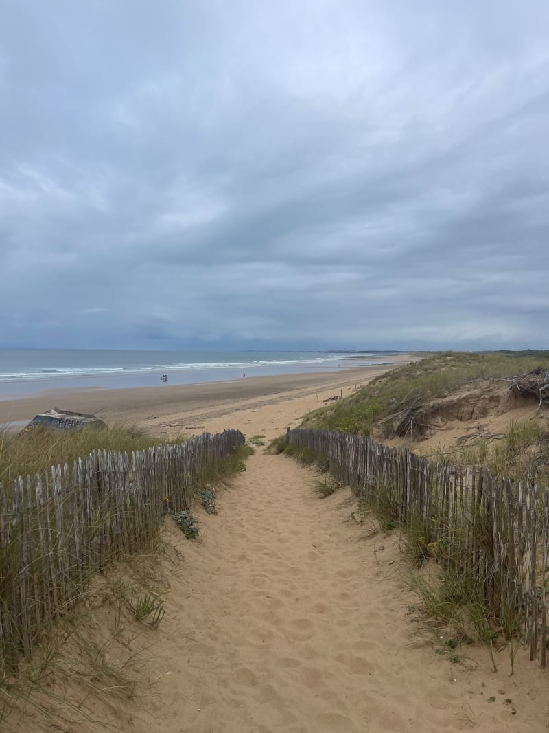 Balade matinale au marais d'Olonne - Les Sables-d'Olonne
