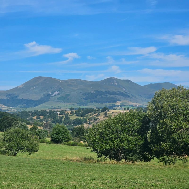 Forêt des Courbanges depuis Saint-Victor-la-Rivière - Saint-Victor-la-Rivière