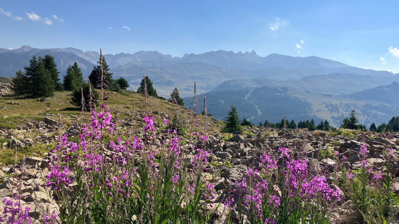 Sentier des illustrations sur les hauteurs de Vars - Vars
